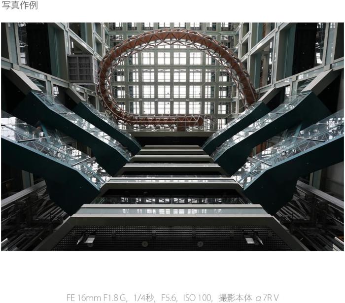 FE 16mm F1.8 G SEL16F18G 商品画像13：沙羅の木