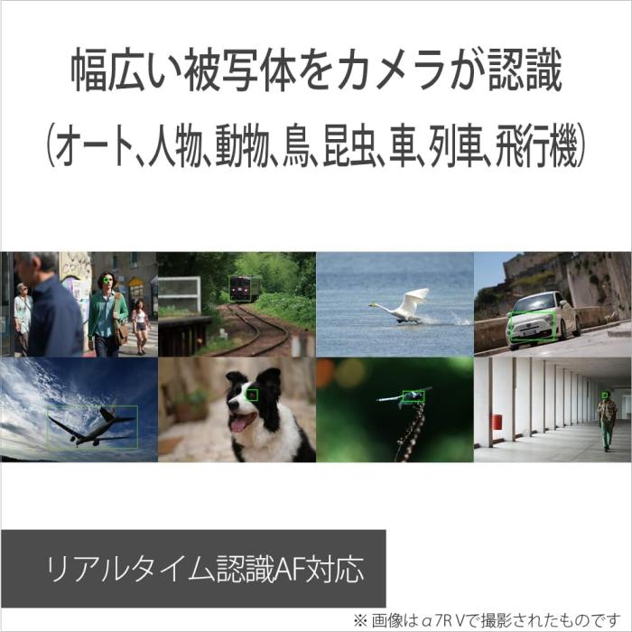 α7 V ILCE-7M5 ボディ 商品画像16：沙羅の木