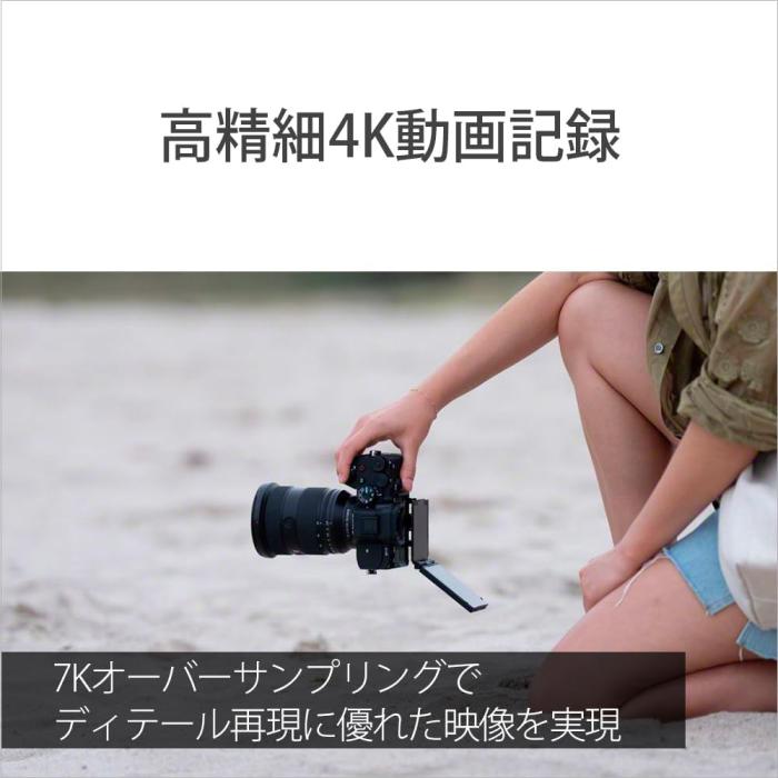 α7 V ILCE-7M5 ボディ 商品画像20：沙羅の木