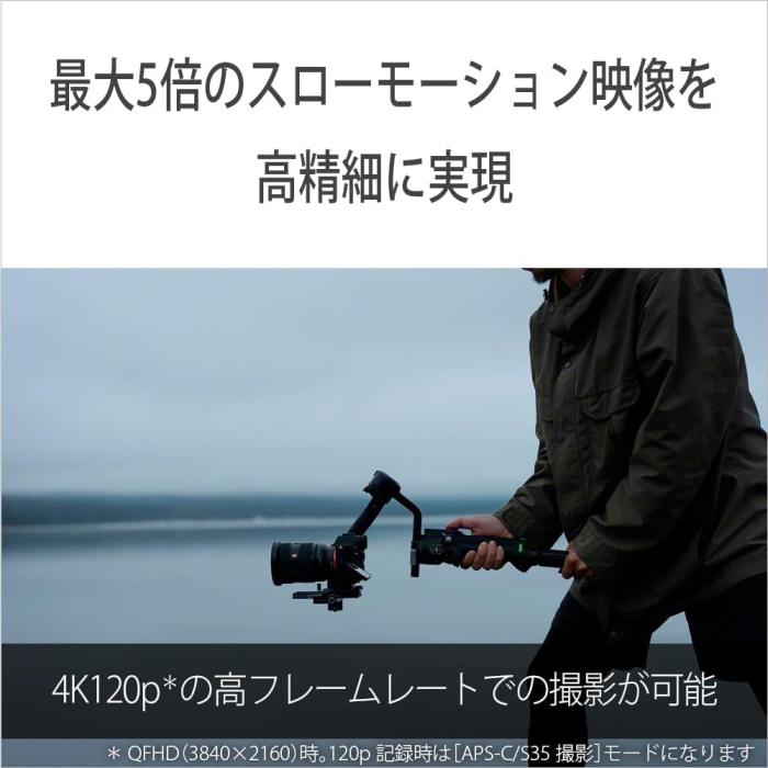 α7 V ILCE-7M5 ボディ 商品画像21：沙羅の木