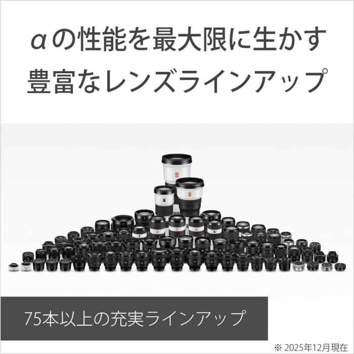 α7 V ILCE-7M5 ボディ 商品画像23：沙羅の木