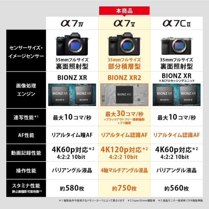 α7 V ILCE-7M5 ボディ 商品画像8：沙羅の木