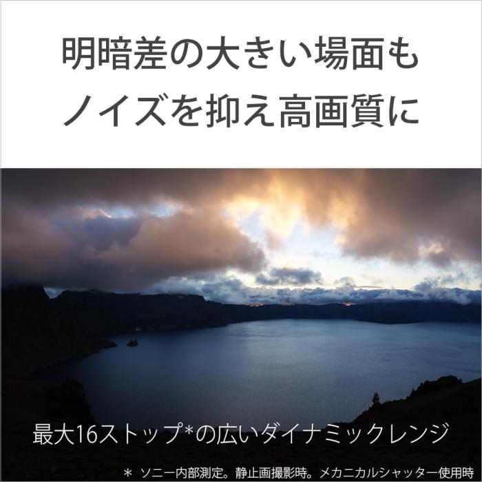 α7 V ILCE-7M5 ボディ 商品画像10：沙羅の木