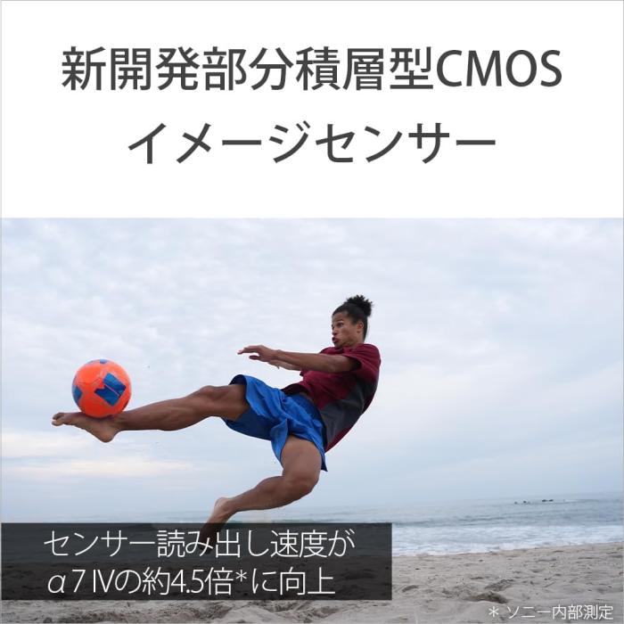 α7 V ILCE-7M5 ボディ 商品画像12：沙羅の木