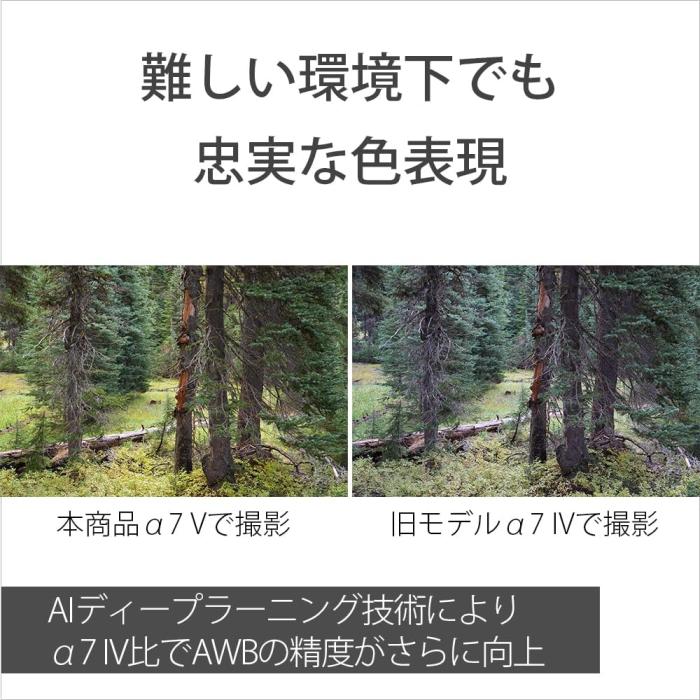 α7 V ILCE-7M5 ボディ 商品画像13：沙羅の木