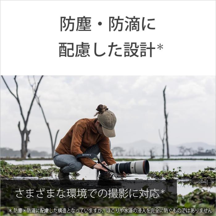 FE 100-400mm F4.5 GM OSS SEL100400MC 商品画像13：沙羅の木