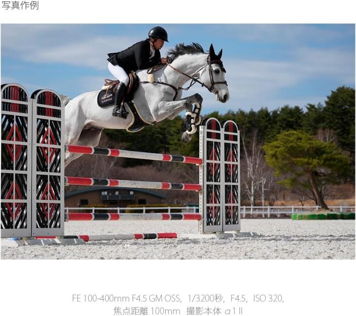 FE 100-400mm F4.5 GM OSS SEL100400MC 商品画像17：沙羅の木