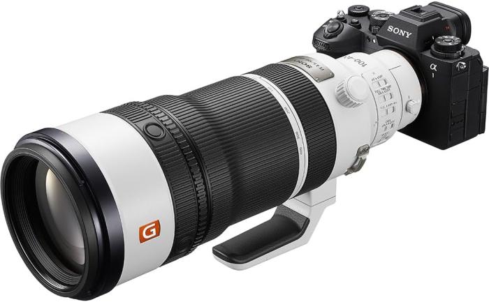 FE 100-400mm F4.5 GM OSS SEL100400MC 商品画像6：沙羅の木