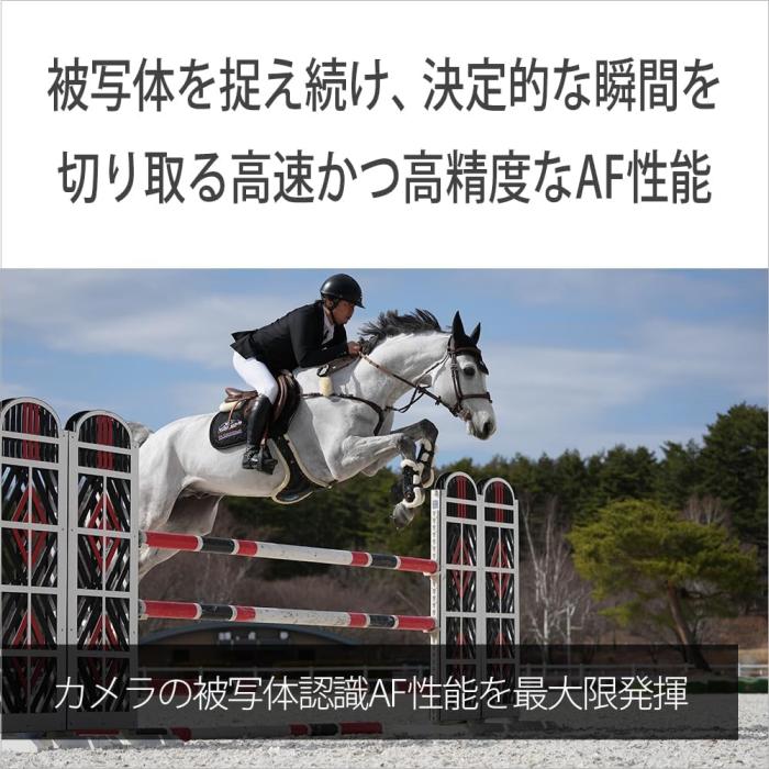 FE 100-400mm F4.5 GM OSS SEL100400MC 商品画像10：沙羅の木