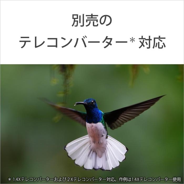 FE 100-400mm F4.5 GM OSS SEL100400MC 商品画像11：沙羅の木