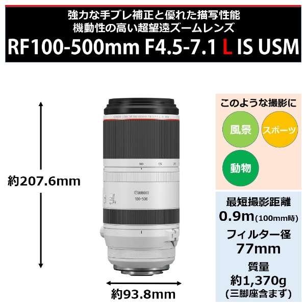 RF100-500mm F4.5-7.1 L IS USM 商品画像3：沙羅の木