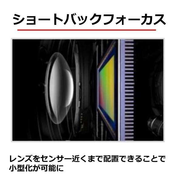 RF100-500mm F4.5-7.1 L IS USM 商品画像12：沙羅の木