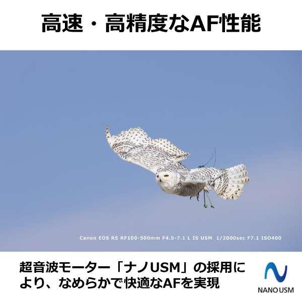 RF100-500mm F4.5-7.1 L IS USM 商品画像6：沙羅の木