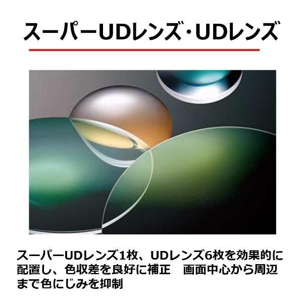 RF100-500mm F4.5-7.1 L IS USM 商品画像7：沙羅の木