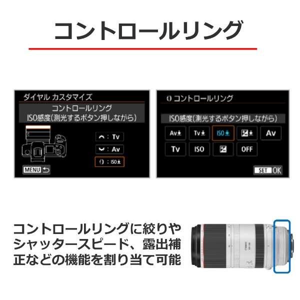 RF100-500mm F4.5-7.1 L IS USM 商品画像10：沙羅の木