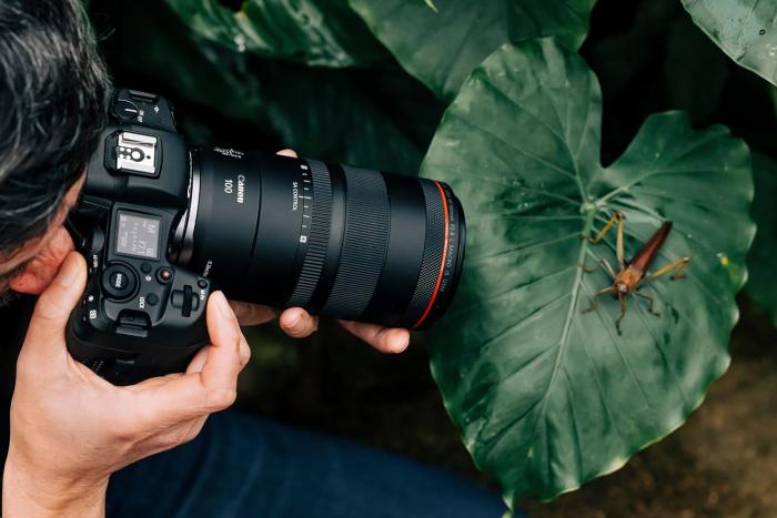 RF100mm F2.8 L MACRO IS USM 商品画像4：沙羅の木