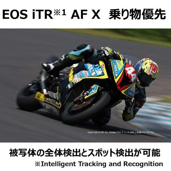 EOS R3 ボディ 商品画像6：沙羅の木