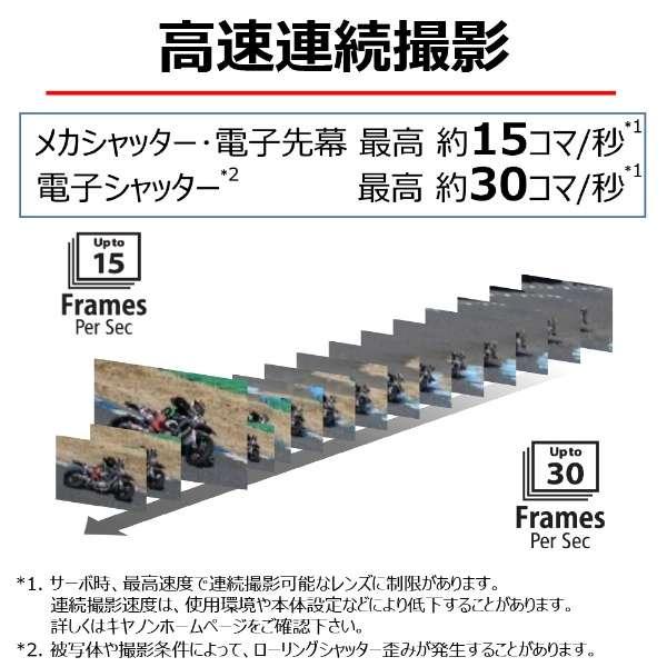 EOS R7 ボディ 商品画像14：沙羅の木