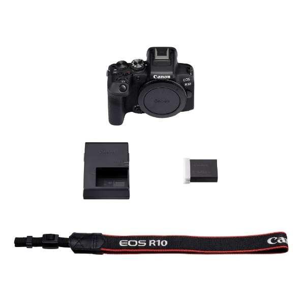 EOS R10 ボディ 商品画像6：沙羅の木