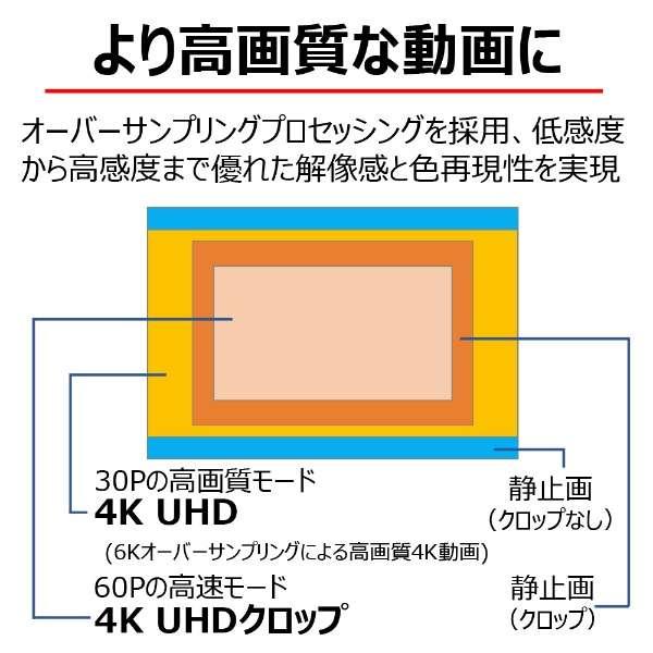 EOS R10 ボディ 商品画像15：沙羅の木