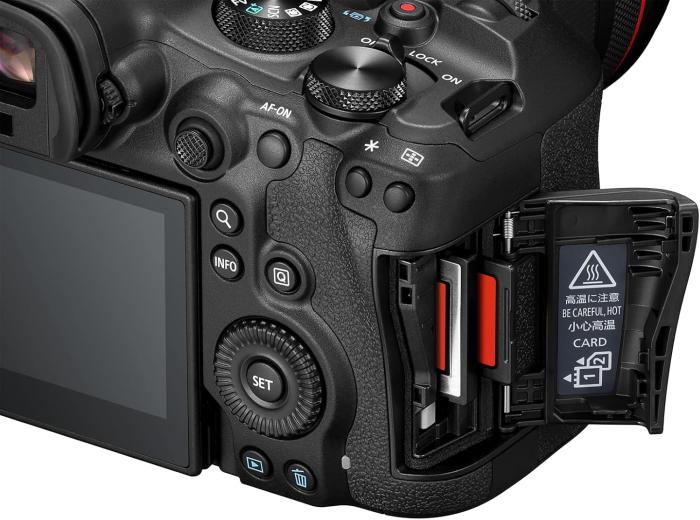 EOS R6 Mark III ボディ 商品画像6：沙羅の木