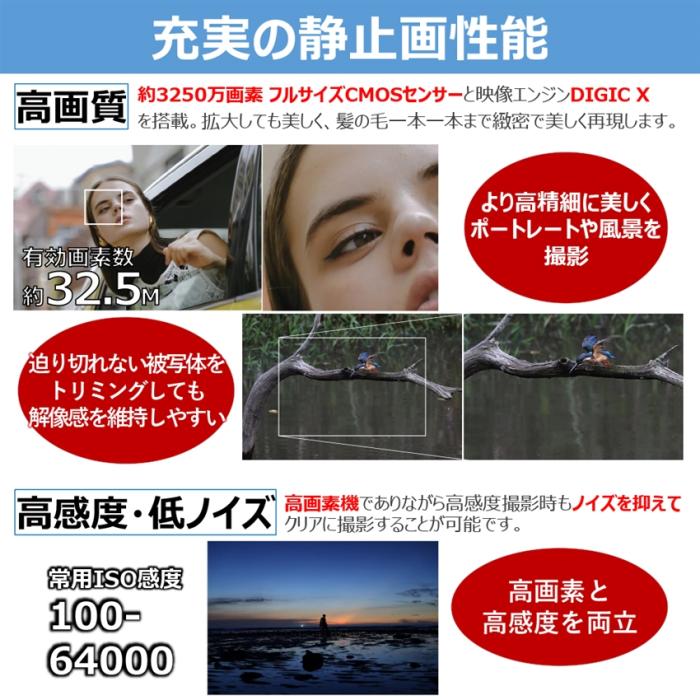 EOS R6 Mark III ボディ 商品画像8：沙羅の木