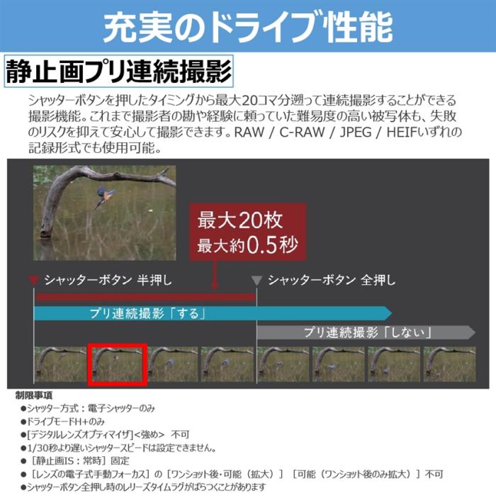 EOS R6 Mark III RF24-105L IS USM レンズキット 商品画像4：沙羅の木