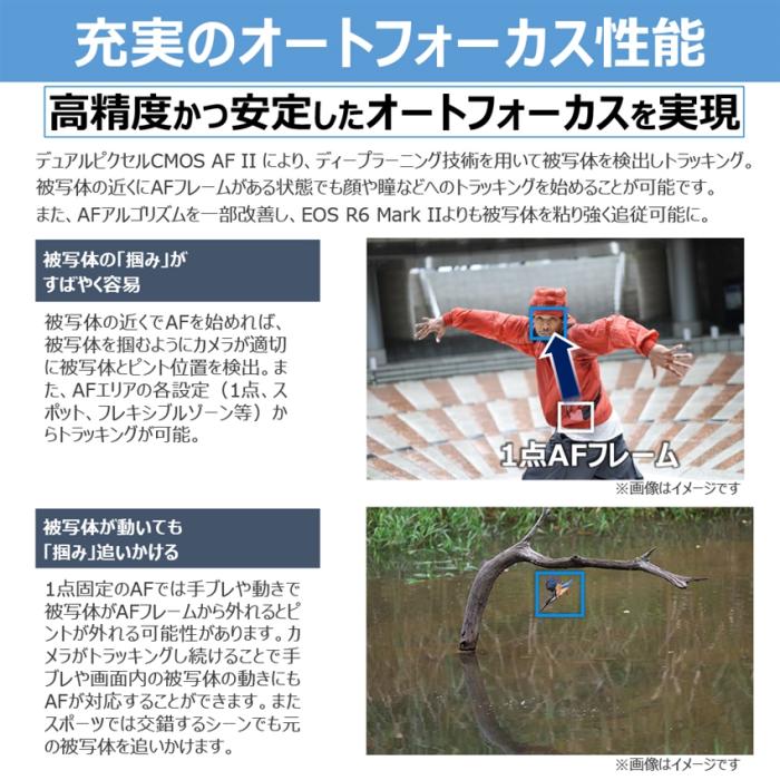 EOS R6 Mark III RF24-105 IS STM レンズキット 商品画像5：沙羅の木