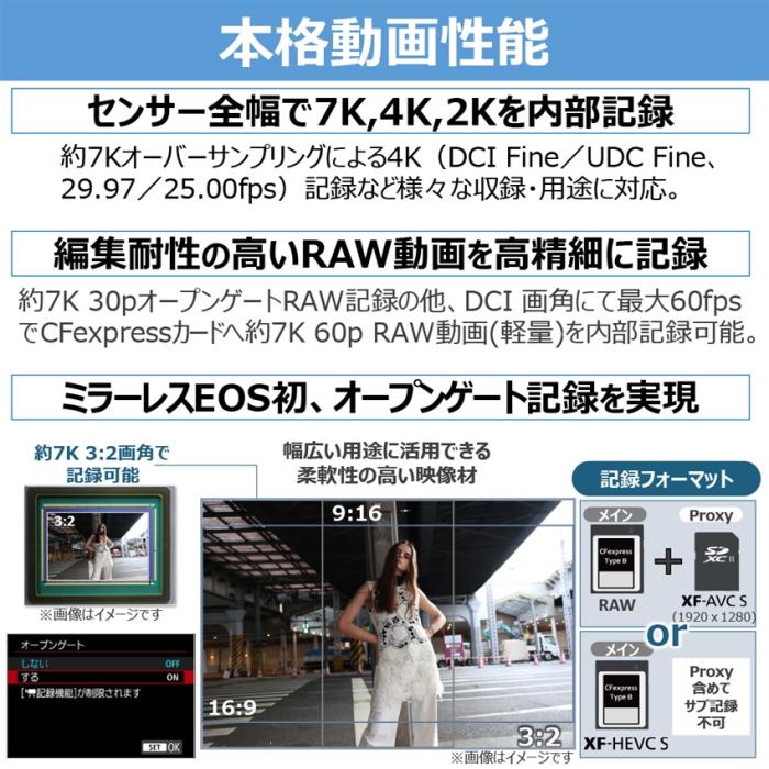 EOS R6 Mark III RF24-105 IS STM レンズキット 商品画像6：沙羅の木