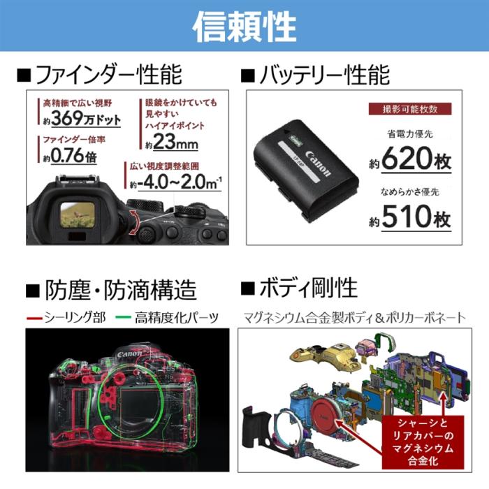 EOS R6 Mark III RF24-105 IS STM レンズキット 商品画像8：沙羅の木