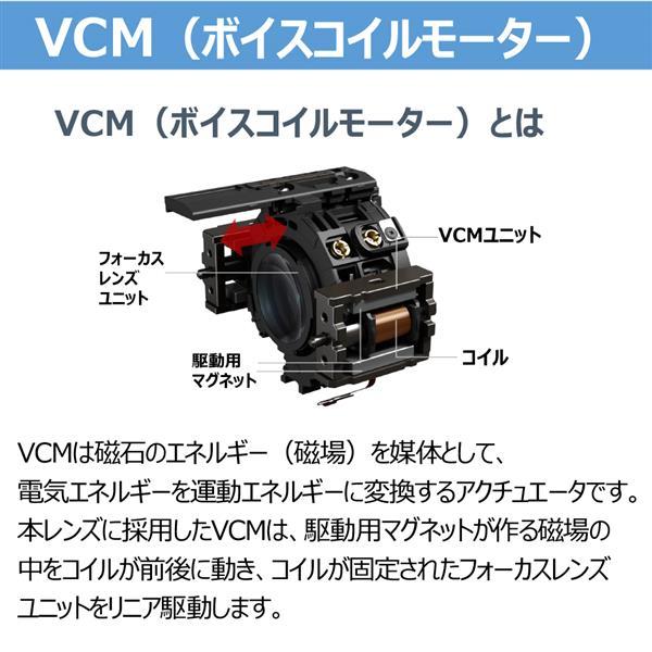 RF85mm F1.4 L VCM 商品画像4：沙羅の木