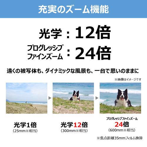 IXY 650 m [ブラック] 商品画像9：沙羅の木