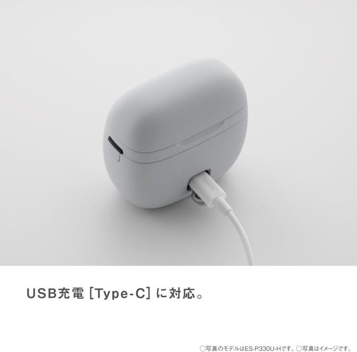 ラムダッシュ パームイン LITE ES-P330U-H [ミストグレー] 商品画像9：沙羅の木