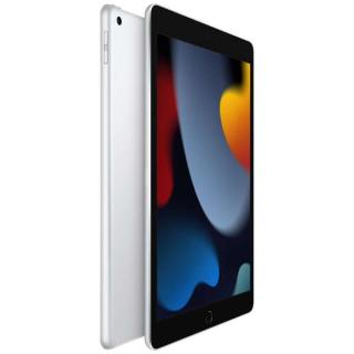 iPad 10.2インチ 第9世代 Wi-Fi 256GB 2021年秋モデル MK2P3J/A 