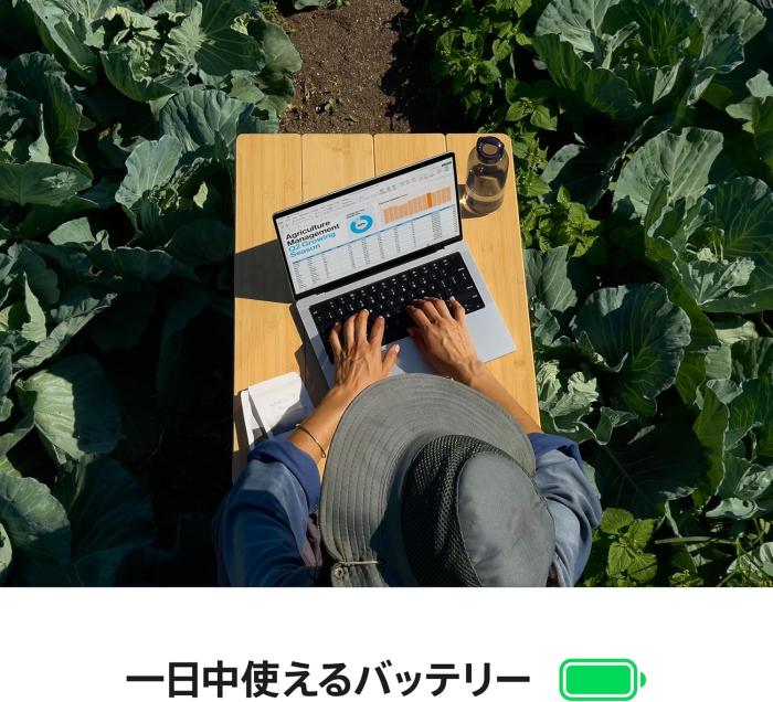 MacBook Pro Liquid Retina XDRディスプレイ 14.2 MW2U3J/A [スペースブラック] 商品画像10：沙羅の木