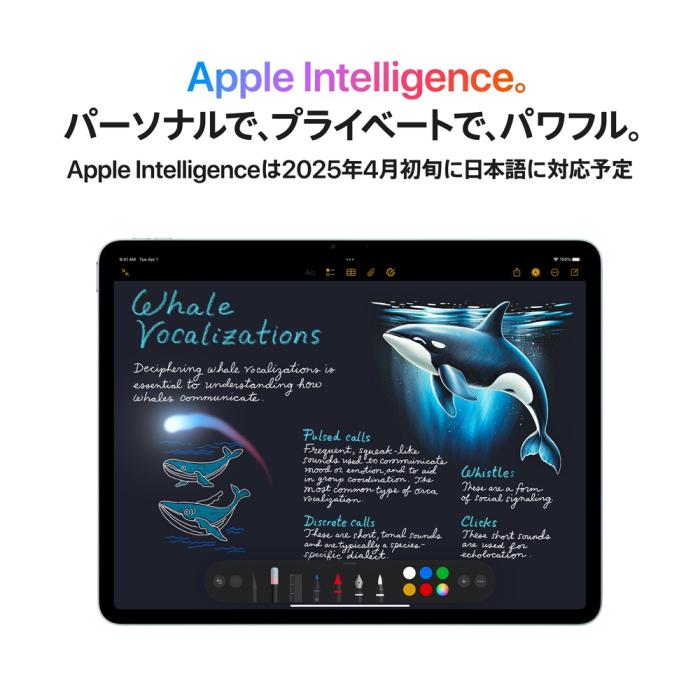 iPad Air 11インチ Wi-Fi 256GB 2025年春モデル MCA14J/A [スペースグレイ] 商品画像5：沙羅の木