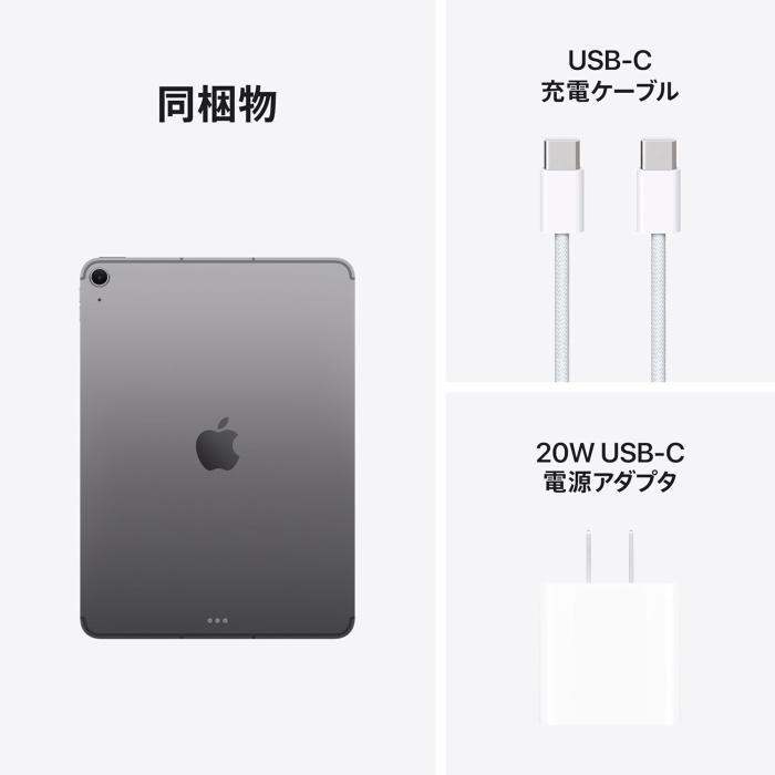 iPad Air 11インチ Wi-Fi 256GB 2025年春モデル MCA14J/A [スペースグレイ] 商品画像10：沙羅の木