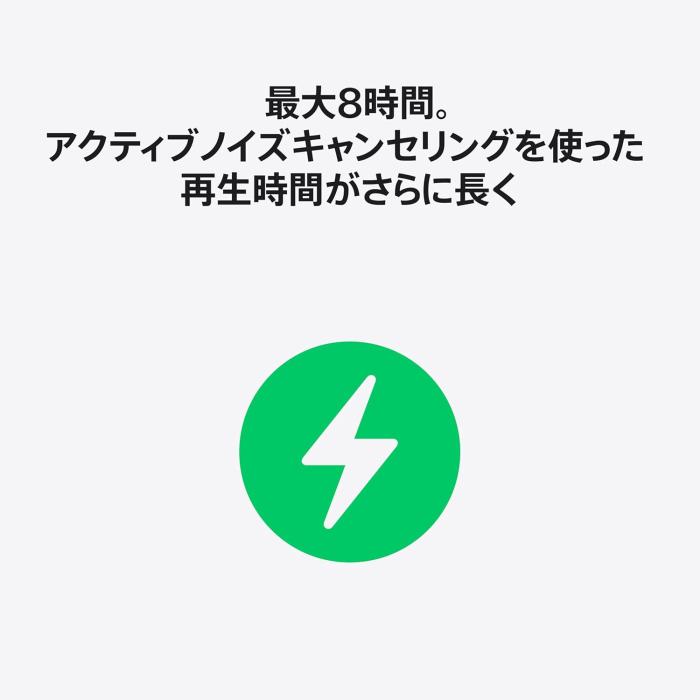 AirPods Pro 3 MFHP4J/A 商品画像11：沙羅の木