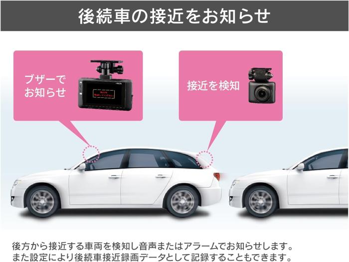ZDR035 商品画像5：沙羅の木