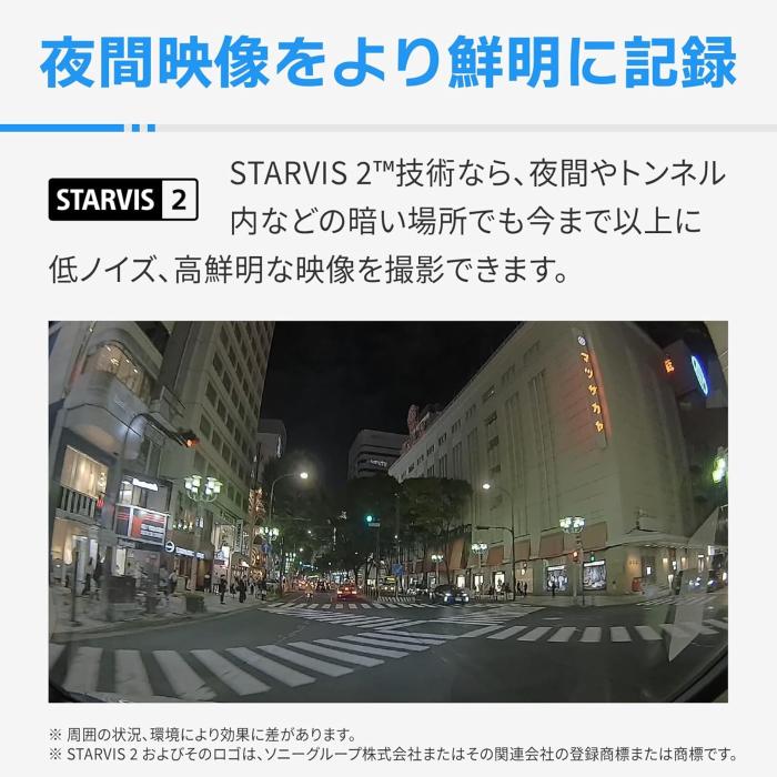 ZDR065 商品画像4：沙羅の木