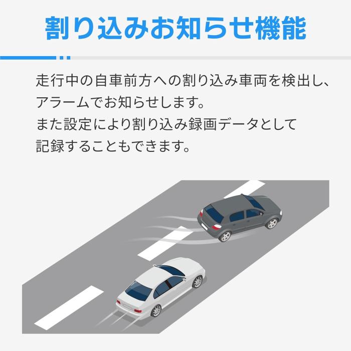 ZDR065 商品画像5：沙羅の木