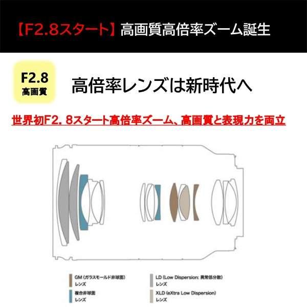 28-200mm F/2.8-5.6 Di III RXD (Model A071) 商品画像8：沙羅の木