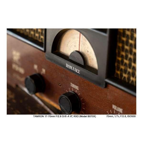 17-70mm F/2.8 Di III-A VC RXD (Model B070) [フジフイルム用] 商品画像5：沙羅の木