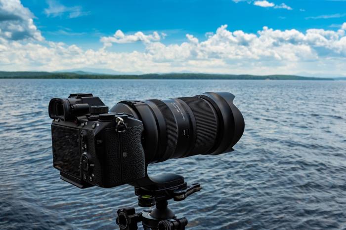 50-400mm F/4.5-6.3 Di III VC VXD (Model A067) [ソニーE用] 商品画像11：沙羅の木