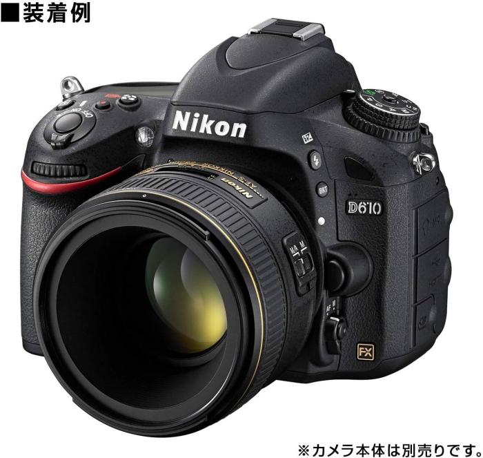 AF-S NIKKOR 58mm f/1.4G 商品画像16：沙羅の木