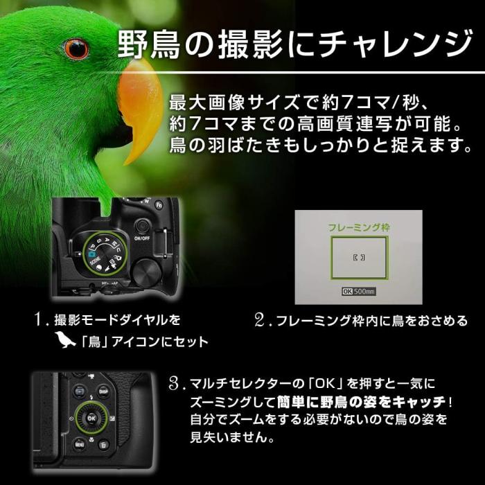 COOLPIX P1000 商品画像12：沙羅の木