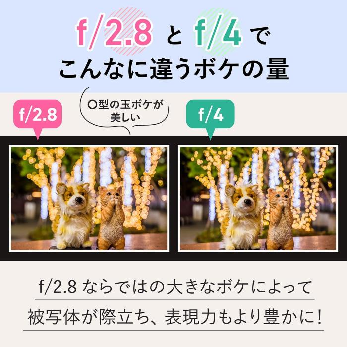 NIKKOR Z 28-75mm f/2.8 商品画像4：沙羅の木