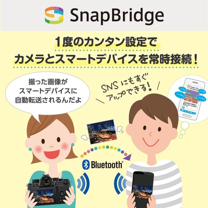 Z fc 16-50 VR レンズキット [ブラック] 商品画像5：沙羅の木