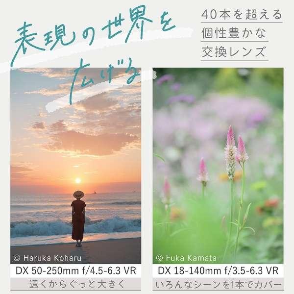 Z50II 18-140 VR レンズキット 商品画像7：沙羅の木