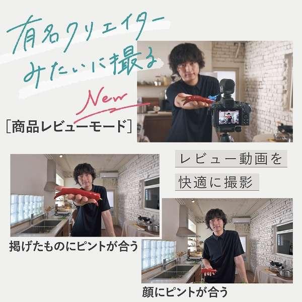 Z50II 18-140 VR レンズキット 商品画像9：沙羅の木